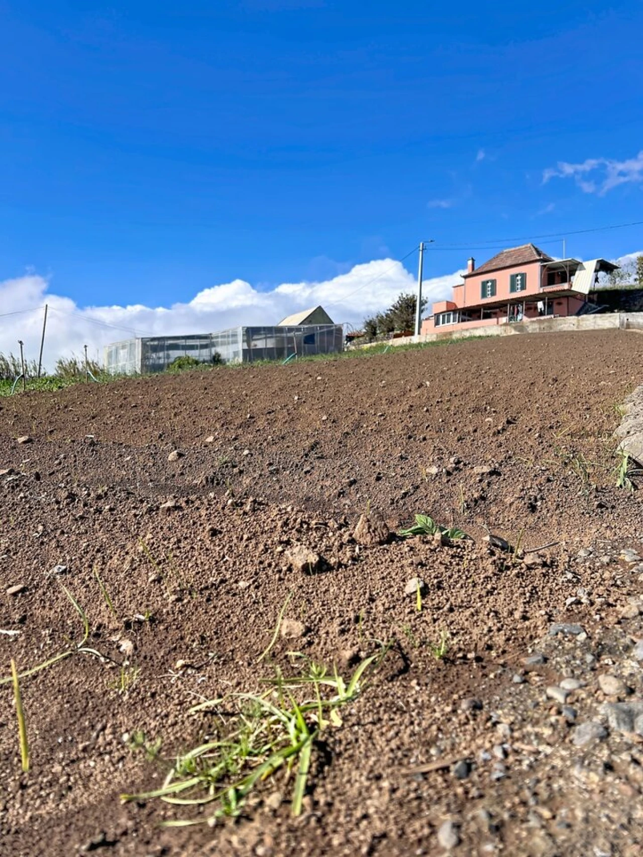 Terreno para Venda em Canhas Foto 10