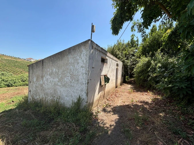 Armazém para Venda em Carvoeira e Carmões Foto 5