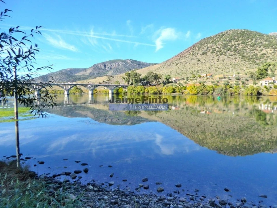 Terreno Agricola ou Rústico para Venda em Escalhão Foto 9