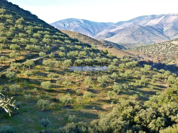 Terreno Agricola ou Rústico para Venda em Escalhão Foto 4