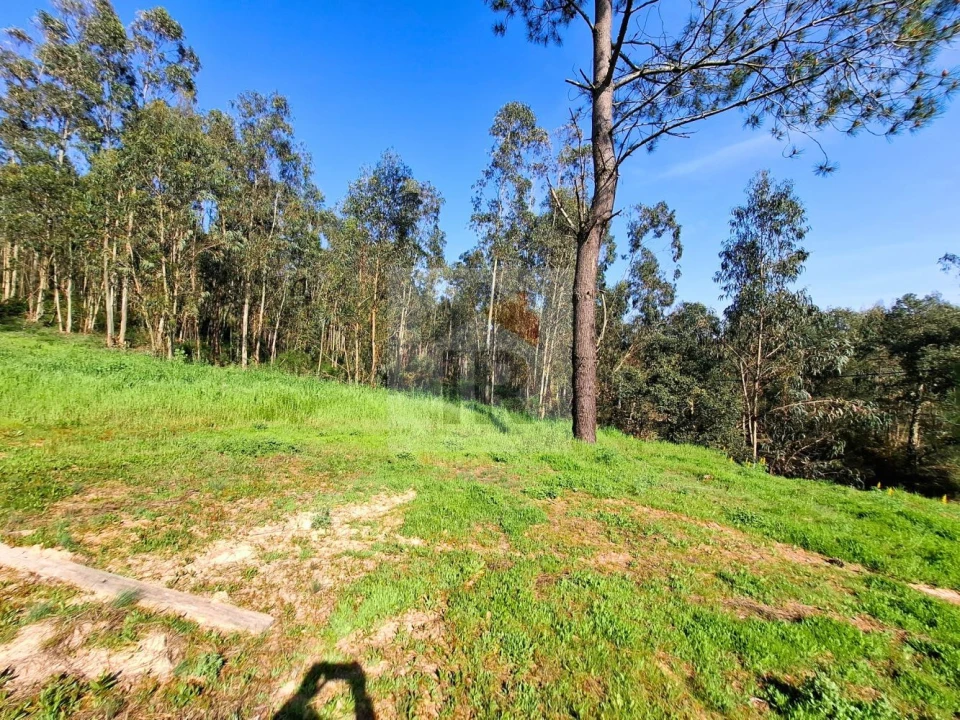 Moradia T1 para Venda em Salir de Matos Foto 25