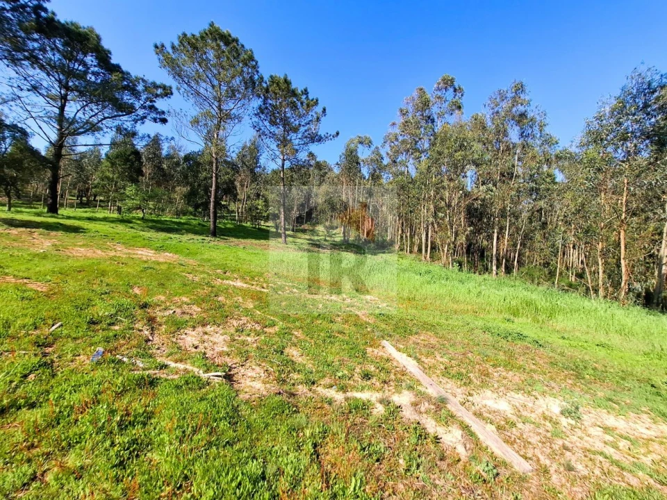 Moradia T1 para Venda em Salir de Matos Foto 24