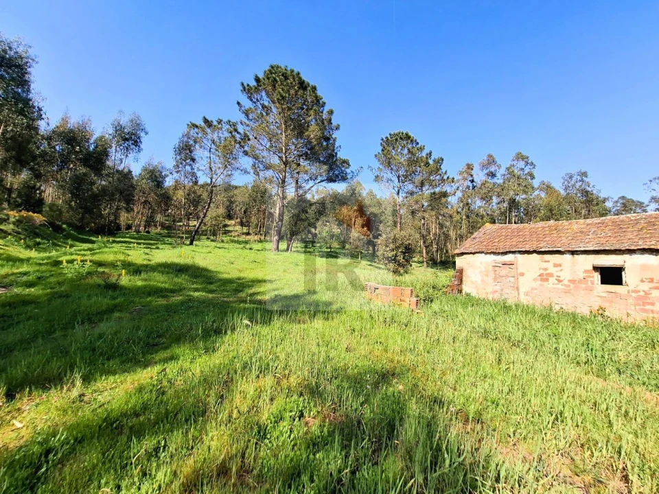 Moradia T1 para Venda em Salir de Matos Foto 7