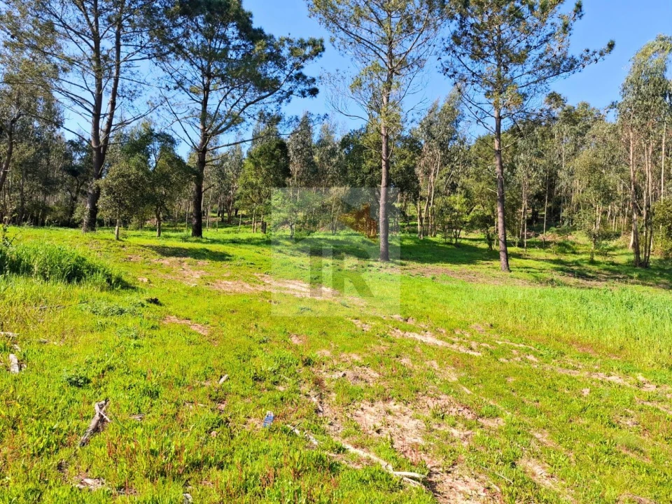 Moradia T1 para Venda em Salir de Matos Foto 21