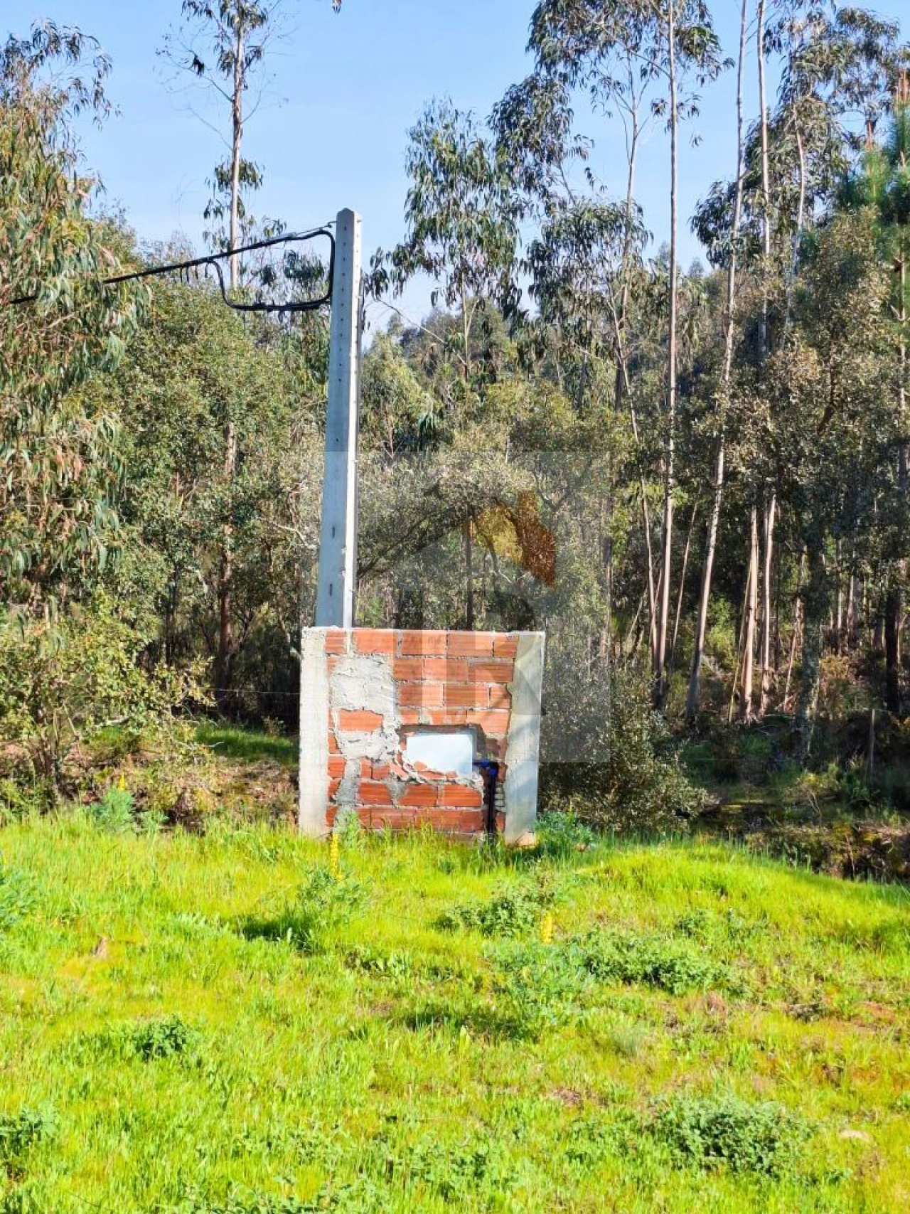 Moradia T1 para Venda em Salir de Matos Foto 16