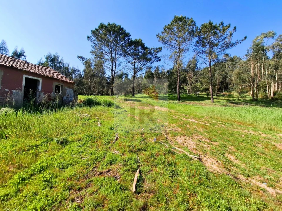 Moradia T1 para Venda em Salir de Matos Foto 11