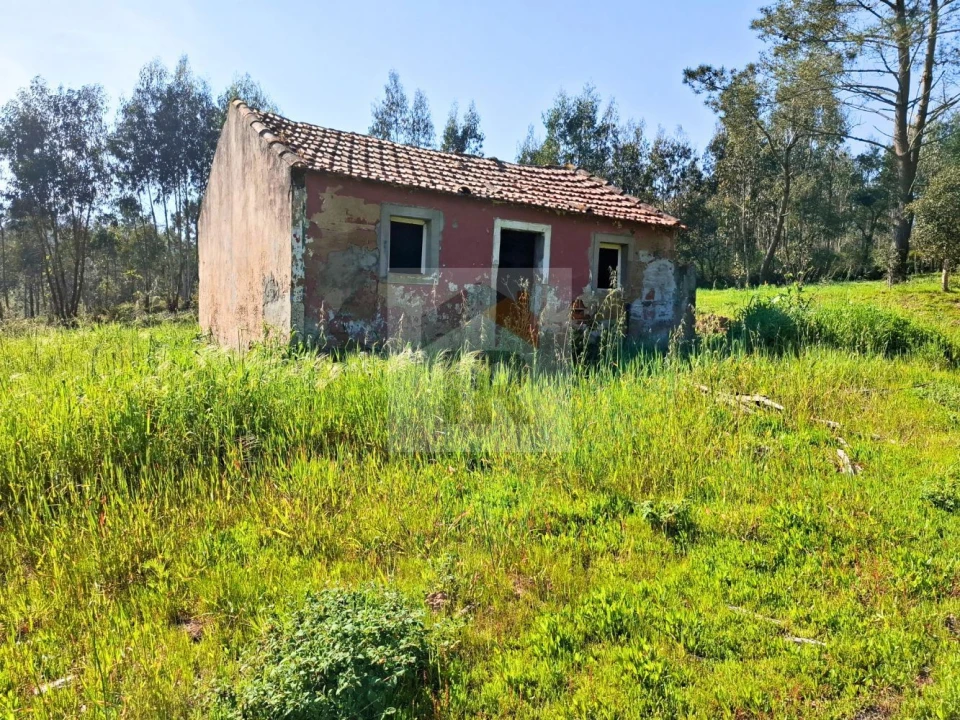 Moradia T1 para Venda em Salir de Matos Foto 4