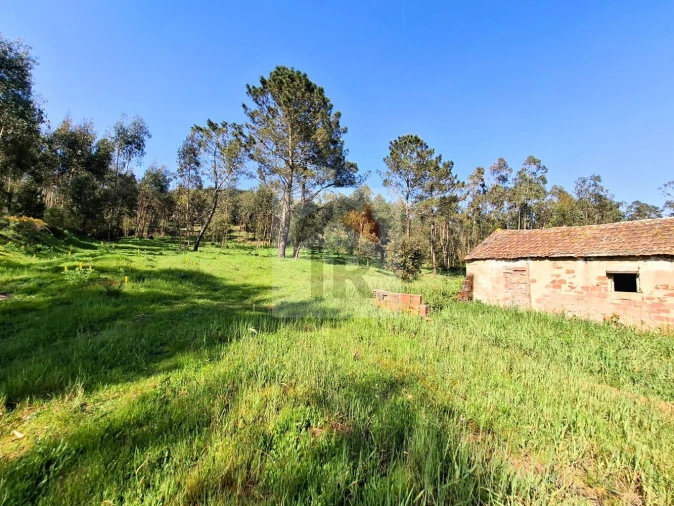 Moradia T1 para Venda em Salir de Matos Foto 7