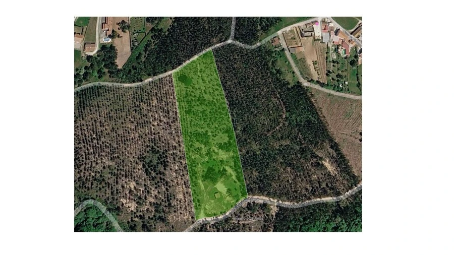 Moradia T1 para Venda em Salir de Matos Foto 29