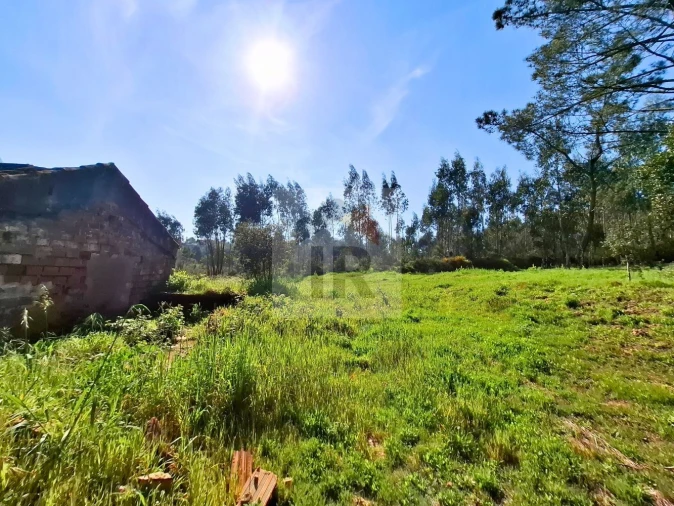 Moradia T1 para Venda em Salir de Matos Foto 13