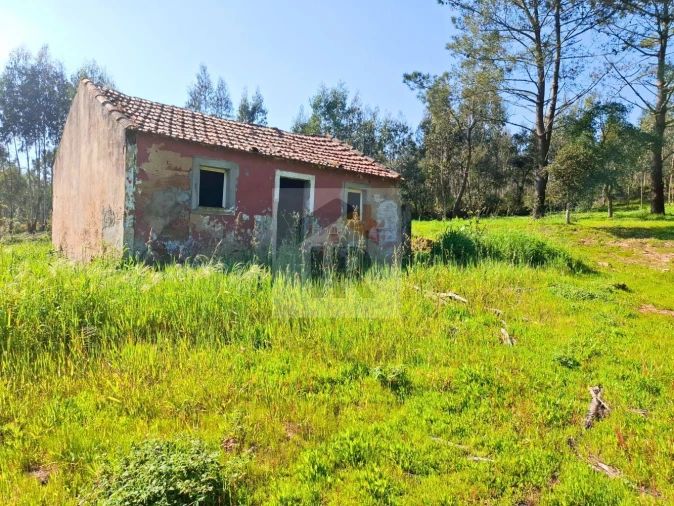 Moradia T1 para Venda em Salir de Matos Foto 2