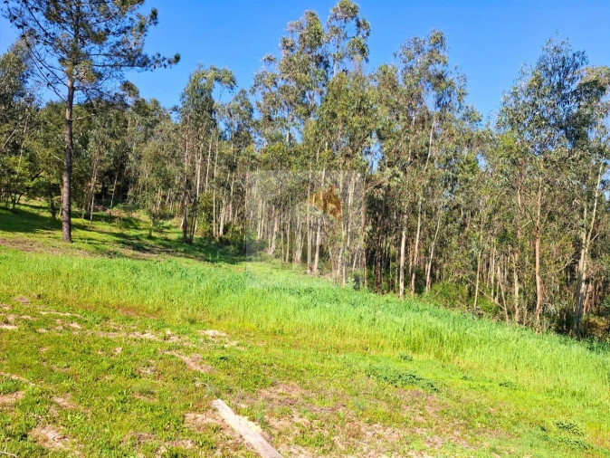 Moradia T1 para Venda em Salir de Matos Foto 22