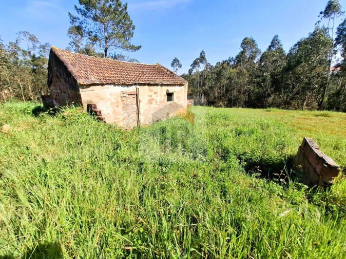 Moradia T1 para Venda em Salir de Matos Foto 6