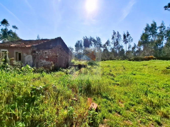 Moradia T1 para Venda em Salir de Matos Foto 5