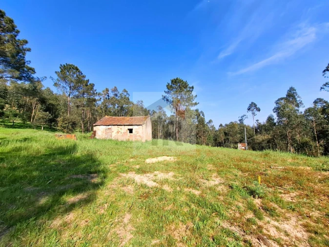 Moradia T1 para Venda em Salir de Matos Foto 10