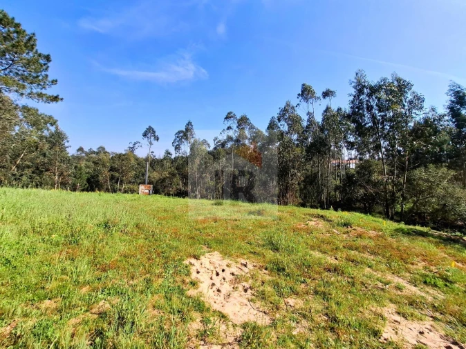 Moradia T1 para Venda em Salir de Matos Foto 18