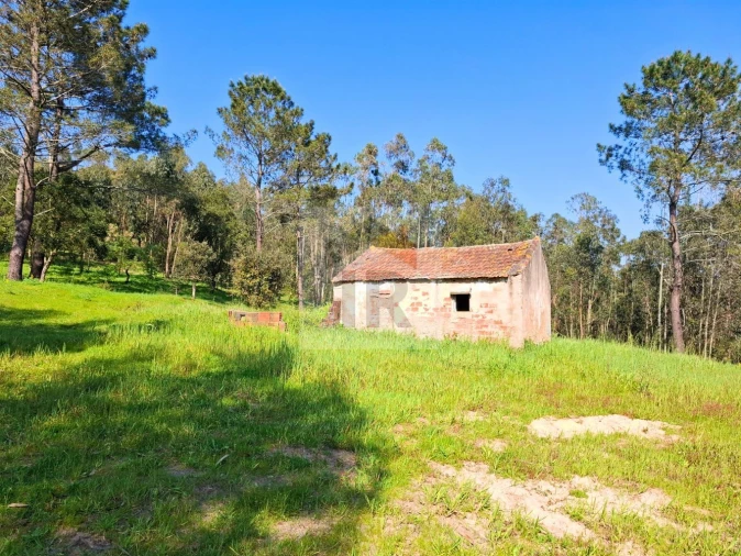 Moradia T1 para Venda em Salir de Matos Foto 1