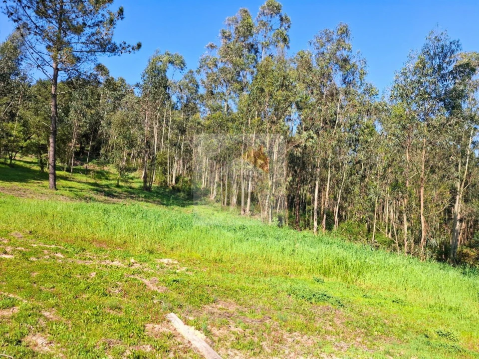 Moradia T1 para Venda em Salir de Matos Foto 22