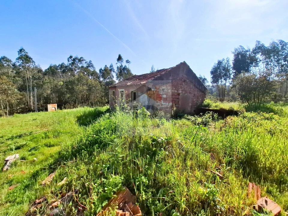 Moradia T1 para Venda em Salir de Matos Foto 14