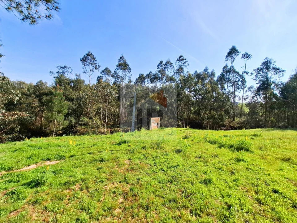 Moradia T1 para Venda em Salir de Matos Foto 27