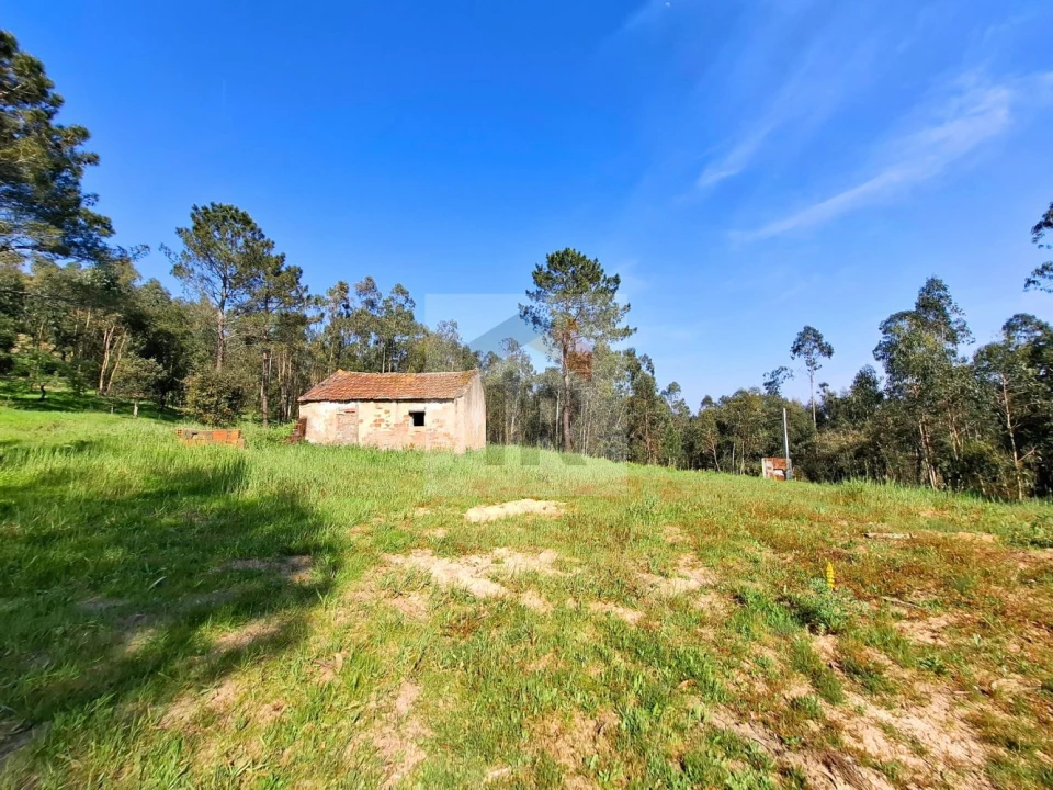 Moradia T1 para Venda em Salir de Matos Foto 10