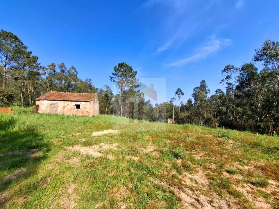 Moradia T1 para Venda em Salir de Matos Foto 9