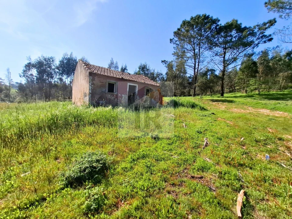 Moradia T1 para Venda em Salir de Matos Foto 3