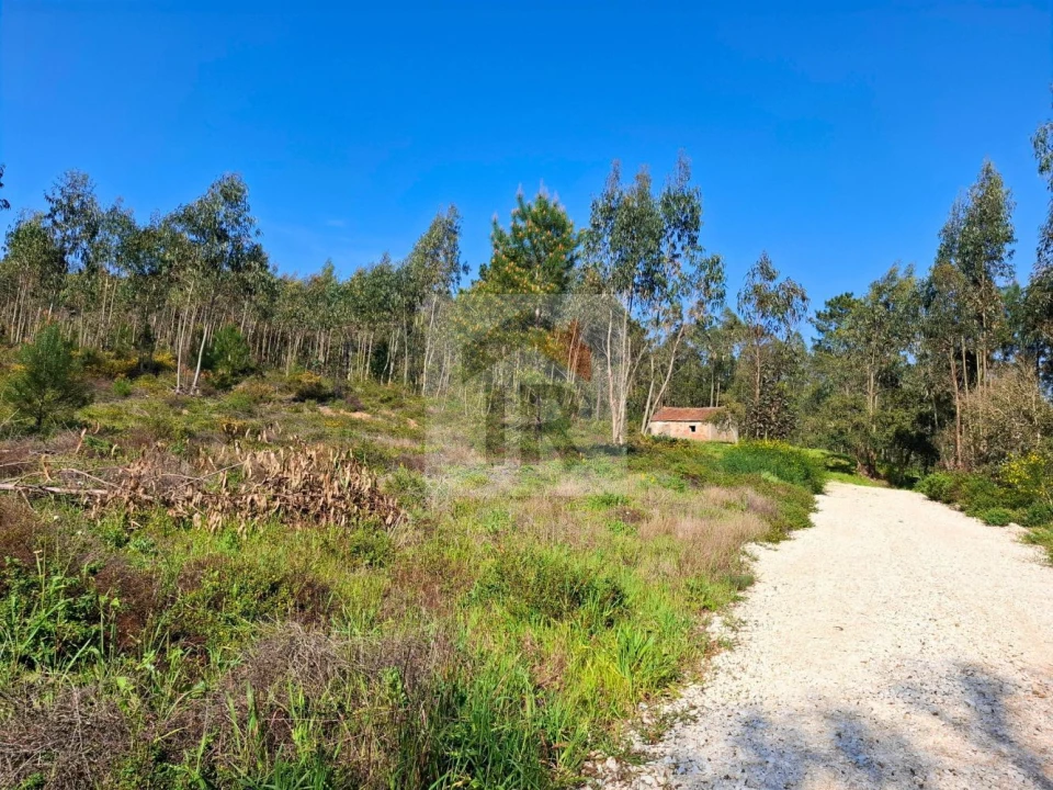 Moradia T1 para Venda em Salir de Matos Foto 17