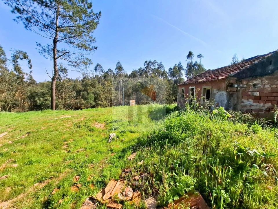 Moradia T1 para Venda em Salir de Matos Foto 15