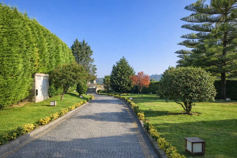 Moradia T6 para Venda em Figueiras e Covas Foto 31