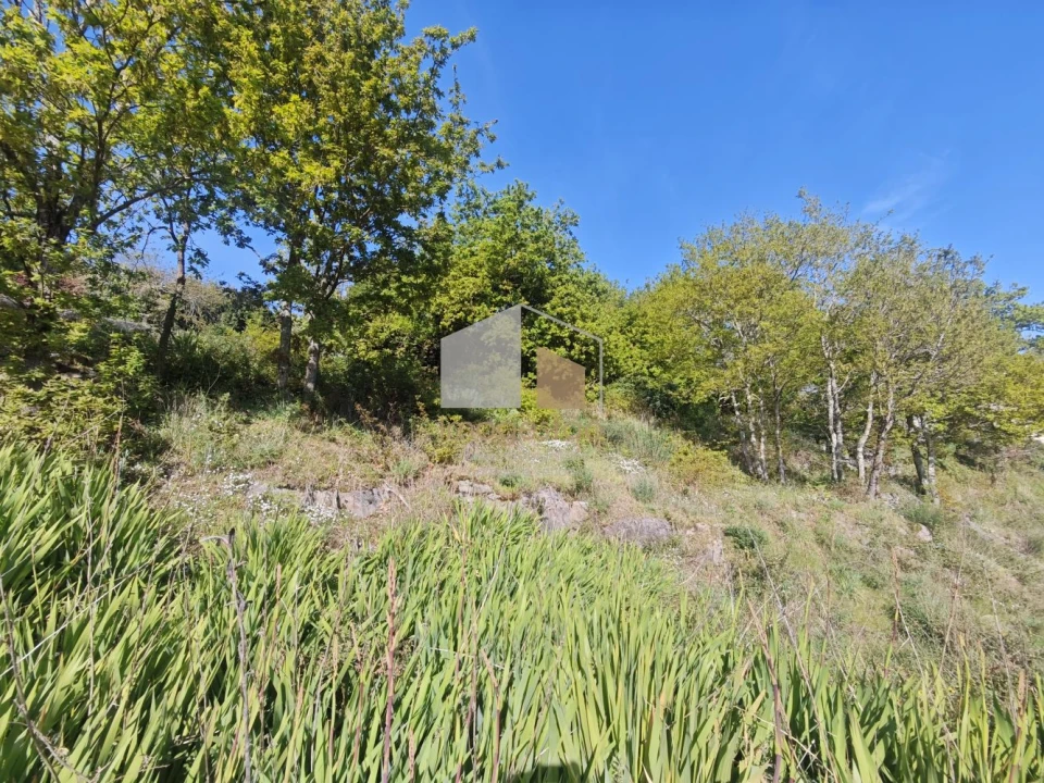 Terreno para Venda em Vila Nova de Cerveira e Lovelhe Foto 19