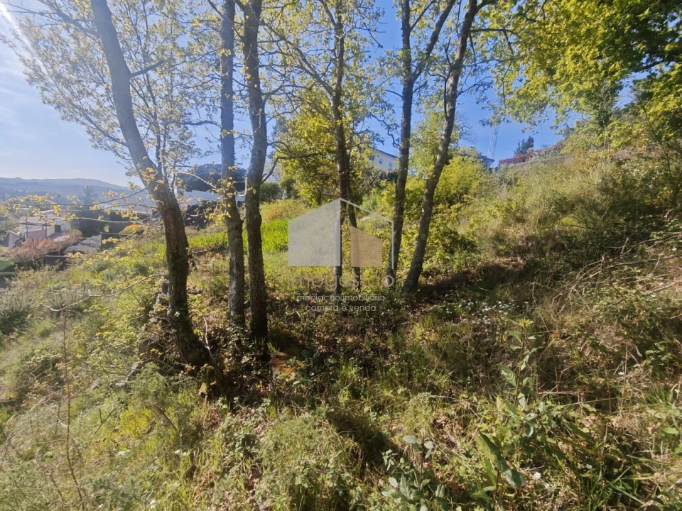 Terreno para Venda em Vila Nova de Cerveira e Lovelhe Foto 7