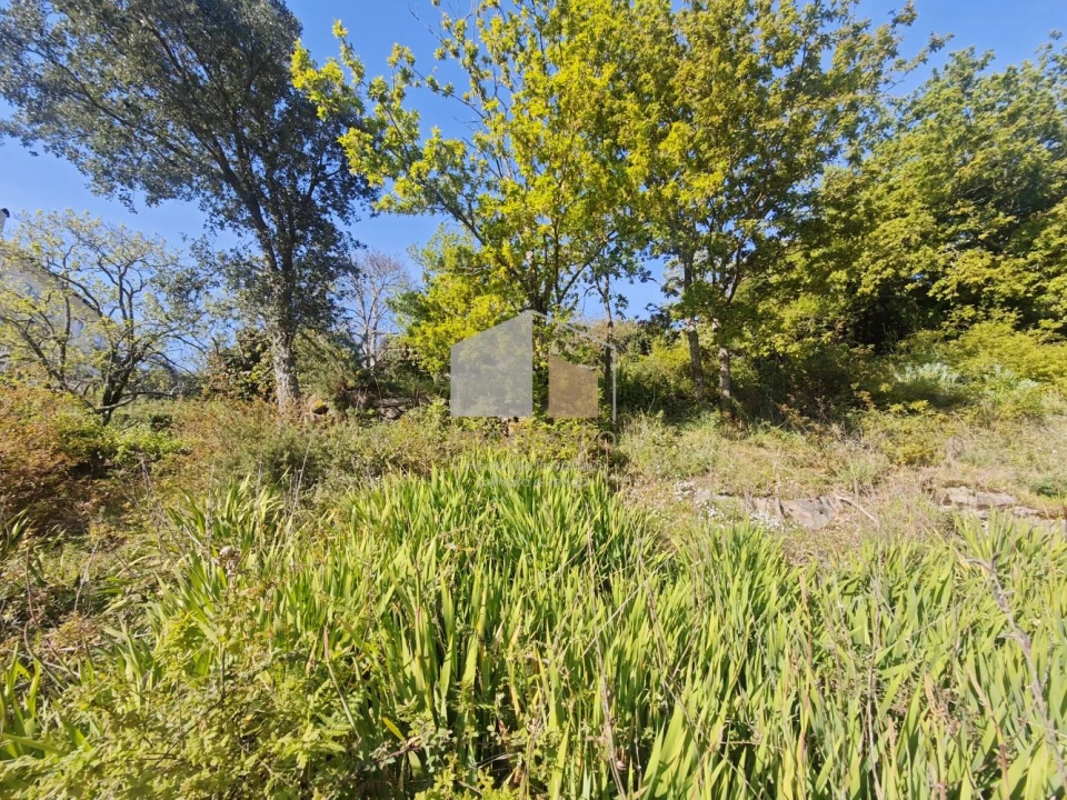 Terreno para Venda em Vila Nova de Cerveira e Lovelhe Foto 20