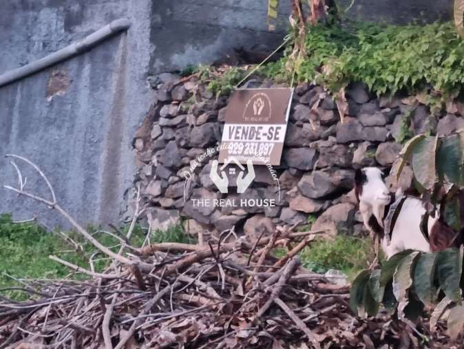 Terreno para Venda em Ribeira Brava Foto 4