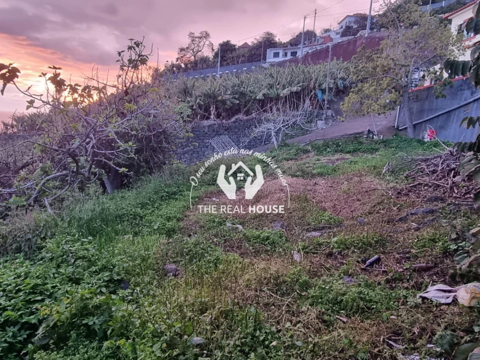 Terreno para Venda em Ribeira Brava Foto 2