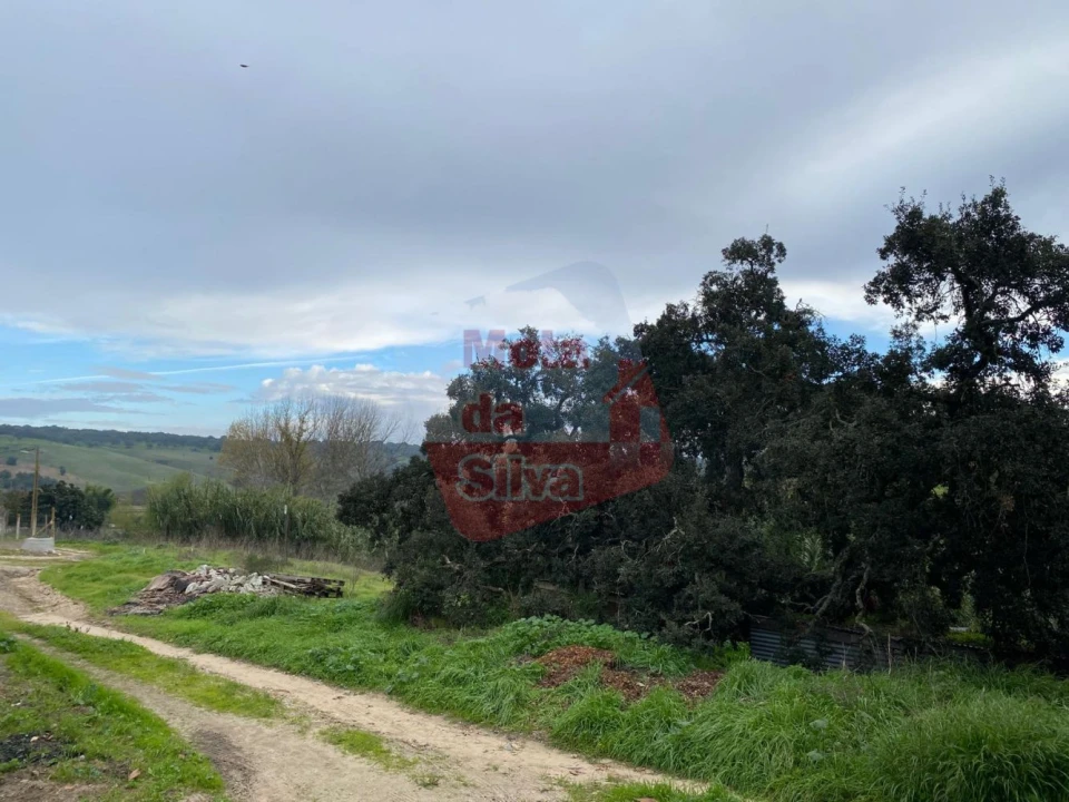 Terreno para Venda em Torrão Foto 2