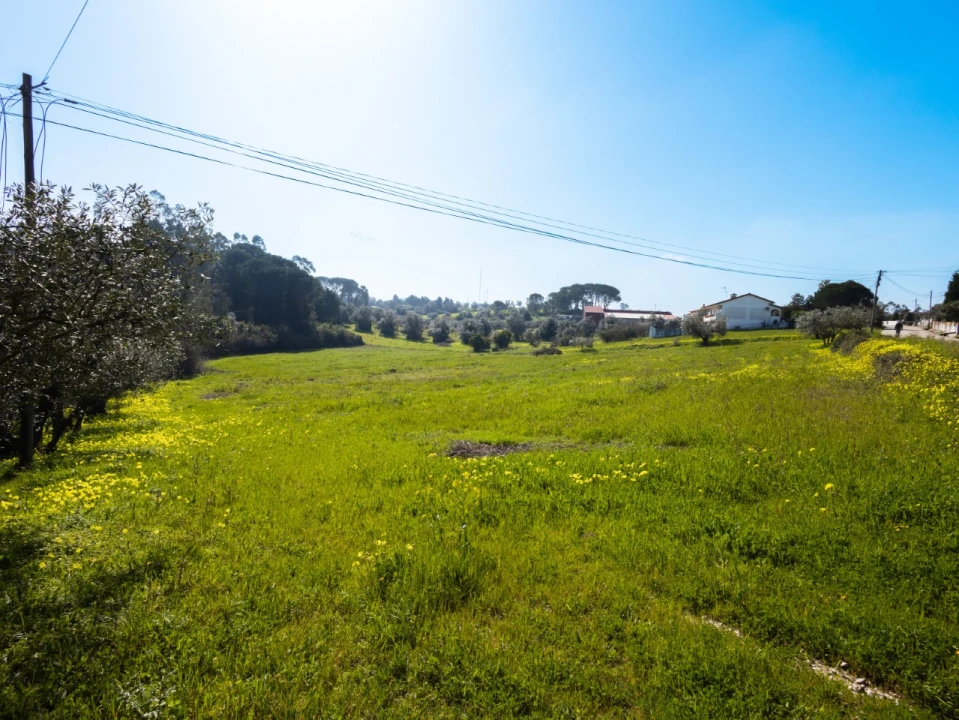 Terreno para Venda em Montemor-O-Velho e Gatões Foto 8