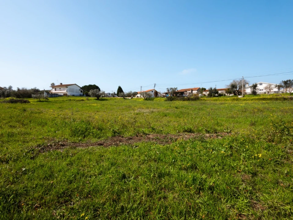 Terreno para Venda em Montemor-O-Velho e Gatões Foto 9