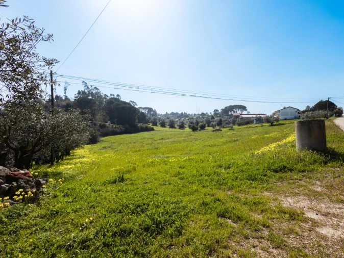 Terreno para Venda em Montemor-O-Velho e Gatões Foto 6