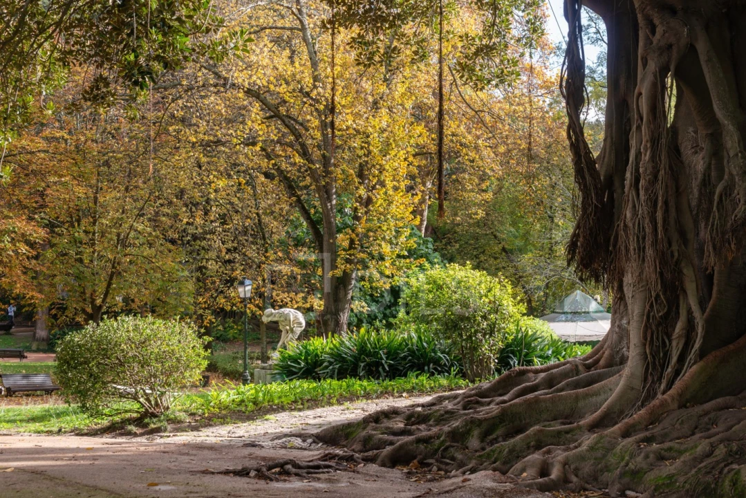 Apartamento T2 para Venda em Estrela Foto 19