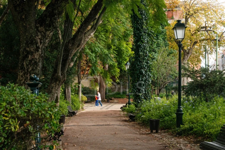 Apartamento T2 para Venda em Estrela Foto 18