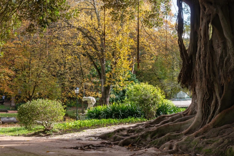 Apartamento T2 para Venda em Estrela Foto 19