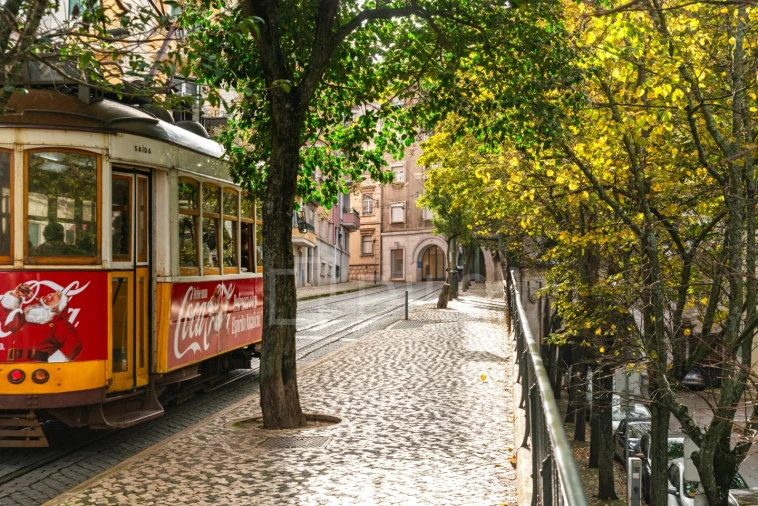 Apartamento T2 para Venda em Estrela Foto 20