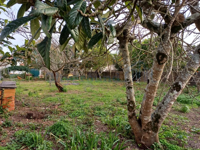 Moradia T5 para Venda em Leiria, Pousos, Barreira e Cortes Foto 11