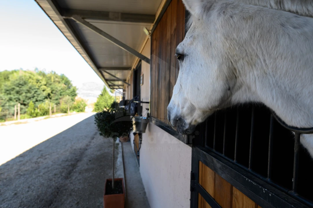 Quinta para Venda em Covilhã e Canhoso Foto 43