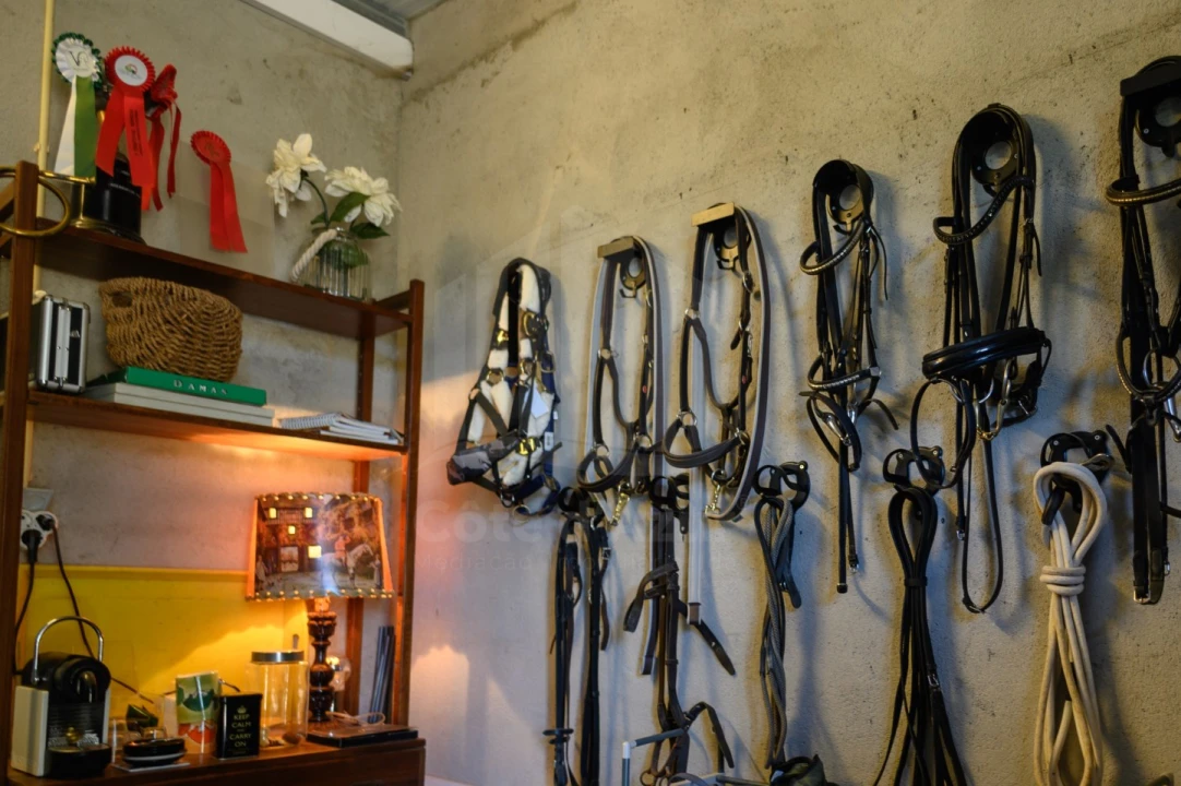 Quinta para Venda em Covilhã e Canhoso Foto 44