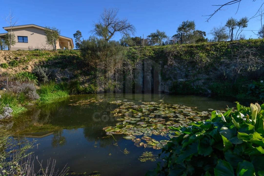 Quinta para Venda em Covilhã e Canhoso Foto 50