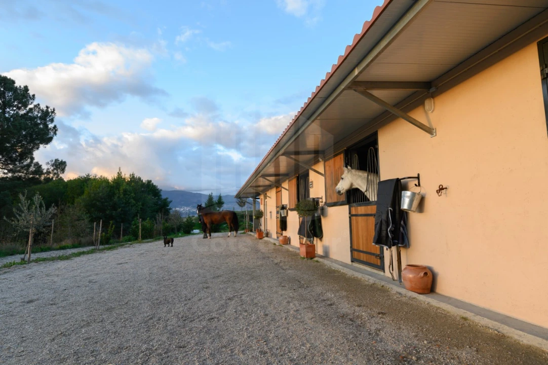 Quinta para Venda em Covilhã e Canhoso Foto 52