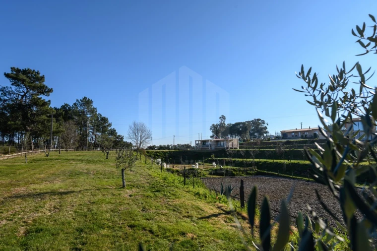 Quinta para Venda em Covilhã e Canhoso Foto 42