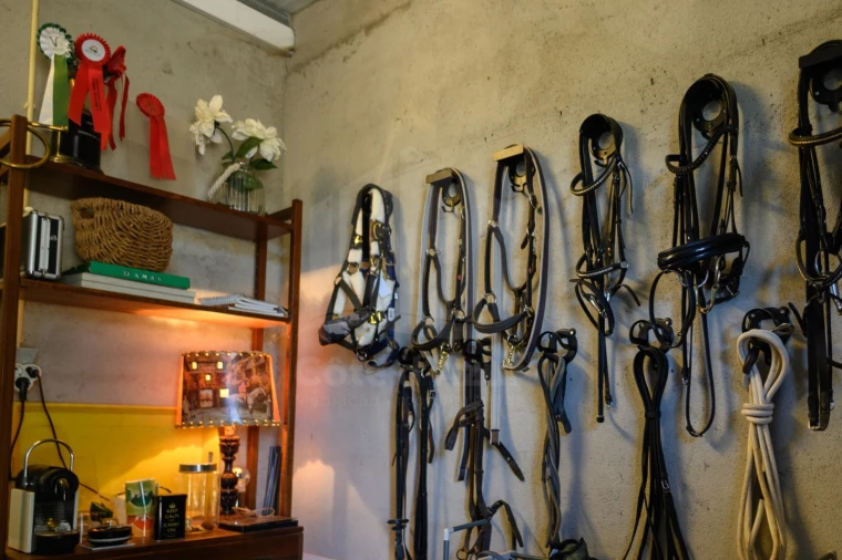 Quinta para Venda em Covilhã e Canhoso Foto 44